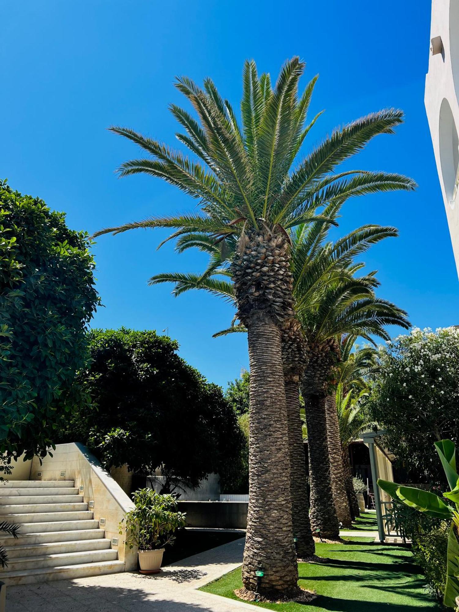 Karteros Hotel Hotel 3*